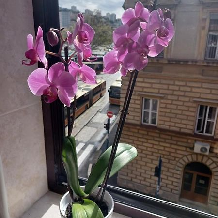 Апартаменты Apartman Vesna Риека Экстерьер фото